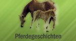 Pferdegeschichten Pferdegeschichten