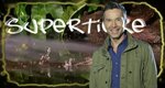 Supertiere – mit Dirk Steffens – Bild: ZDF/Rico Rossival Supertiere – mit Dirk Steffens – Bild: ZDF/Rico Rossival