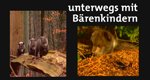 Unterwegs mit Bärenkindern – Bild: rbb Unterwegs mit Bärenkindern – Bild: rbb