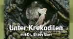 Unter Krokodilen – Bild: National Geographic Channel Unter Krokodilen – Bild: National Geographic Channel