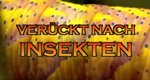 Verrückt nach Insekten – Bild: Discovery Communictation, LLC. Verrückt nach Insekten – Bild: Discovery Communictation, LLC.
