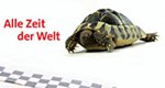 Alle Zeit der Welt – Bild: SWR