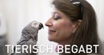 Tierisch begabt – Bild: Spiegel TV Wissen Tierisch begabt – Bild: Spiegel TV Wissen
