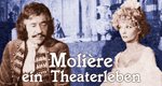Molière – ein Theaterleben