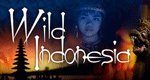 Wildes Indonesien – Bild: PBS Wildes Indonesien – Bild: PBS