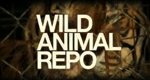 Das Tierschutz-Kommando – Bild: Discovery Communications, Inc. Das Tierschutz-Kommando – Bild: Discovery Communications, Inc.