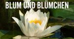 Blum und Blümchen – Bild: BR Blum und Blümchen – Bild: BR