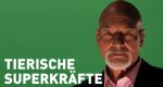 Tierische Superkräfte – Bild: NGC Europe Limited