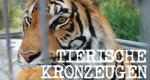 Tierische Kronzeugen – Bild: Discovery Communications, LLC. Tierische Kronzeugen – Bild: Discovery Communications, LLC.