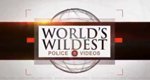 World’s Wildest Police Videos