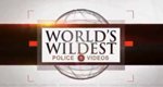 World’s Wildest Police Videos – Bild: Spike TV (Screenshot) World’s Wildest Police Videos – Bild: Spike TV (Screenshot)