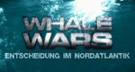 Whale Wars – Entscheidung im Nordatlantik – Bild: DMAX/Screenshot Whale Wars – Entscheidung im Nordatlantik – Bild: DMAX/Screenshot
