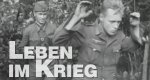 Leben im Krieg – Bild: Discovery Communications, Inc. (Screenshot) Leben im Krieg – Bild: Discovery Communications, Inc. (Screenshot)