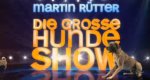 Martin Rütter – Die große Hundeshow – Bild: RTL (Screenshot)
