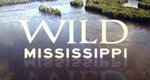 Der Mississippi – Amerikas Lebensader – Bild: National Geographic Channel (Screenshot)