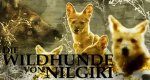 Die Wildhunde von Nilgiri