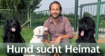 Hund sucht Heimat – Bild: WDR/Encanto Hund sucht Heimat – Bild: WDR/Encanto