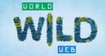 World Wild Web – Bild: National Geographic Channel World Wild Web – Bild: National Geographic Channel