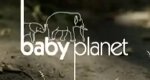 Tierbabys – Willkommen im Leben – Bild: Discovery Communications, Inc. Tierbabys – Willkommen im Leben – Bild: Discovery Communications, Inc.
