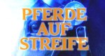 Pferde auf Streife – Bild: Animal Planet (Screenshot)