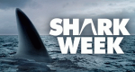 Shark Week – Bild: Discovery Communications, LLC. Shark Week – Bild: Discovery Communications, LLC.