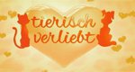 Tierisch verliebt! – Bild: Sat.1 Tierisch verliebt! – Bild: Sat.1