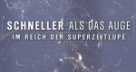 Schneller als das Auge – Bild: ZDF (Screenshot)