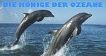 Die Könige der Ozeane – Bild: BBC
