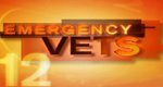 Die Tierklinik – Bild: Discovery Communications, LLC./Screenshot Die Tierklinik – Bild: Discovery Communications, LLC./Screenshot