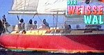 Der Weiße Wal