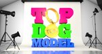 Top Dog Model