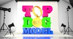 Top Dog Model – Bild: ITV Top Dog Model – Bild: ITV