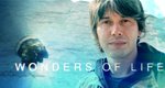 Wunder des Lebens – Bild: BDH
