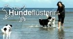 Die Hundeflüsterin – Bild: ZDF (Screenshot) Die Hundeflüsterin – Bild: ZDF (Screenshot)