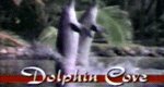 Das Geheimnis der Delphine