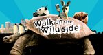 Walk on the Wild Side – Bild: BBC One Walk on the Wild Side – Bild: BBC One
