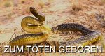 Zum Töten geboren – Bild: BBC