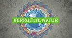 Verrückte Natur – Bild: ZDF