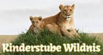 Kinderstube Wildnis – Bild: BBC Kinderstube Wildnis – Bild: BBC