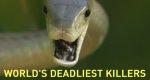 World’s Deadliest Killers