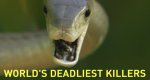 World’s Deadliest Killers – Bild: National Geographic Channel