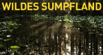 Wildes Sumpfland – Bild: National Geographic Channel Wildes Sumpfland – Bild: National Geographic Channel