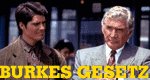 Burkes Gesetz Burkes Gesetz