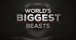 Urzeit-Riesen – Bild: Smithsonian Channel Urzeit-Riesen – Bild: Smithsonian Channel