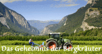 Das Geheimnis der Bergkräuter – Bild: Jakob Stark/Würzinger Film Das Geheimnis der Bergkräuter – Bild: Jakob Stark/Würzinger Film