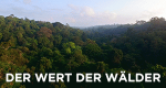 Der Wert der Wälder – Bild: ARTE France/Docside/ZED Der Wert der Wälder – Bild: ARTE France/Docside/ZED