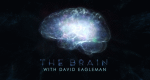 The Brain - Das menschliche Gehirn – Bild: PBS The Brain - Das menschliche Gehirn – Bild: PBS