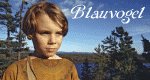 Blauvogel Blauvogel