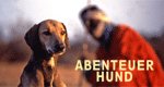 Abenteuer Hund – Bild: DOCMA TV Produktion GmbH Abenteuer Hund – Bild: DOCMA TV Produktion GmbH