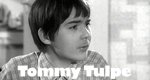 Tommy Tulpe